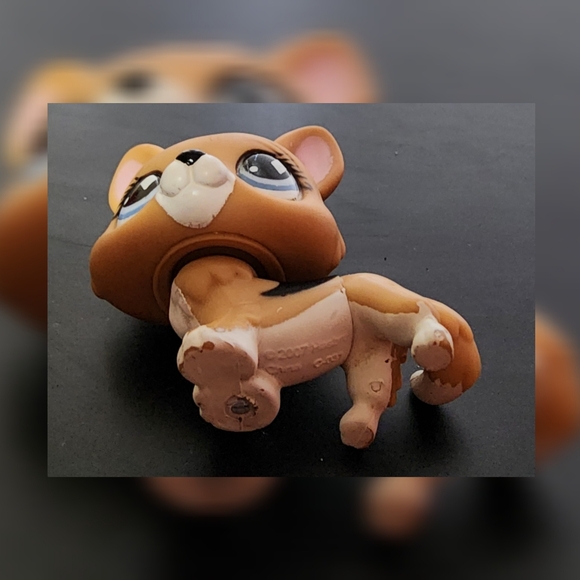 Authentic Littlest Pet Shop LPS #639 Welsh Corgi Puppy Dog Diamond Eyes 2007 - Picture 5 of 9